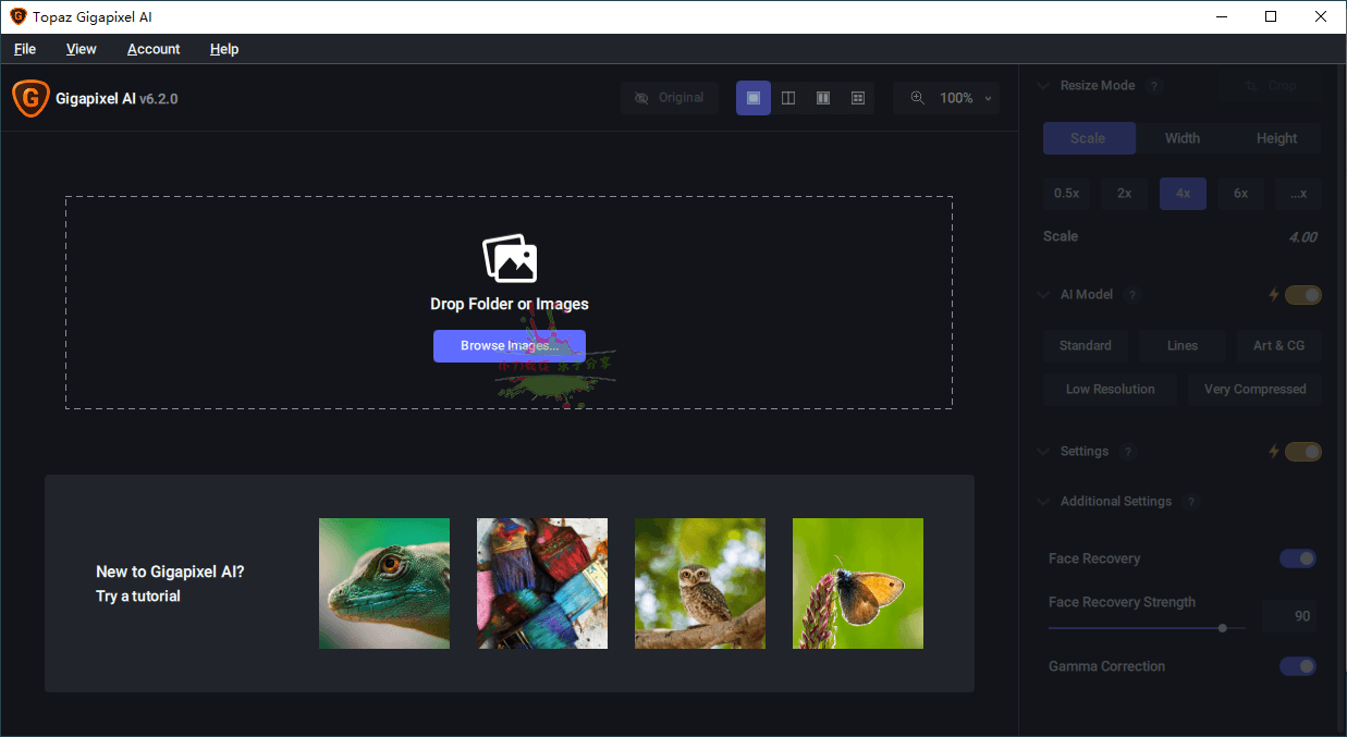 图片无损放大Topaz Gigapixel AI-一个圈出海华人社 - Plus 智慧网络