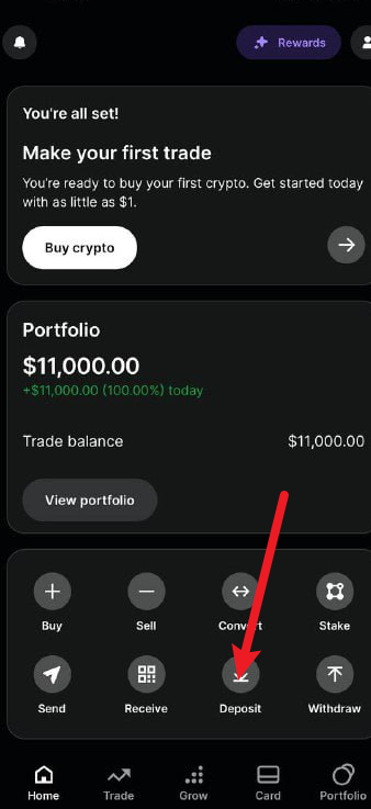 Gemini（双子星电汇，转币）—清竹-一个圈出海华人社 - Plus 智慧网络