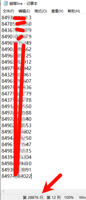 越南精品line优质数据28876条精品一手